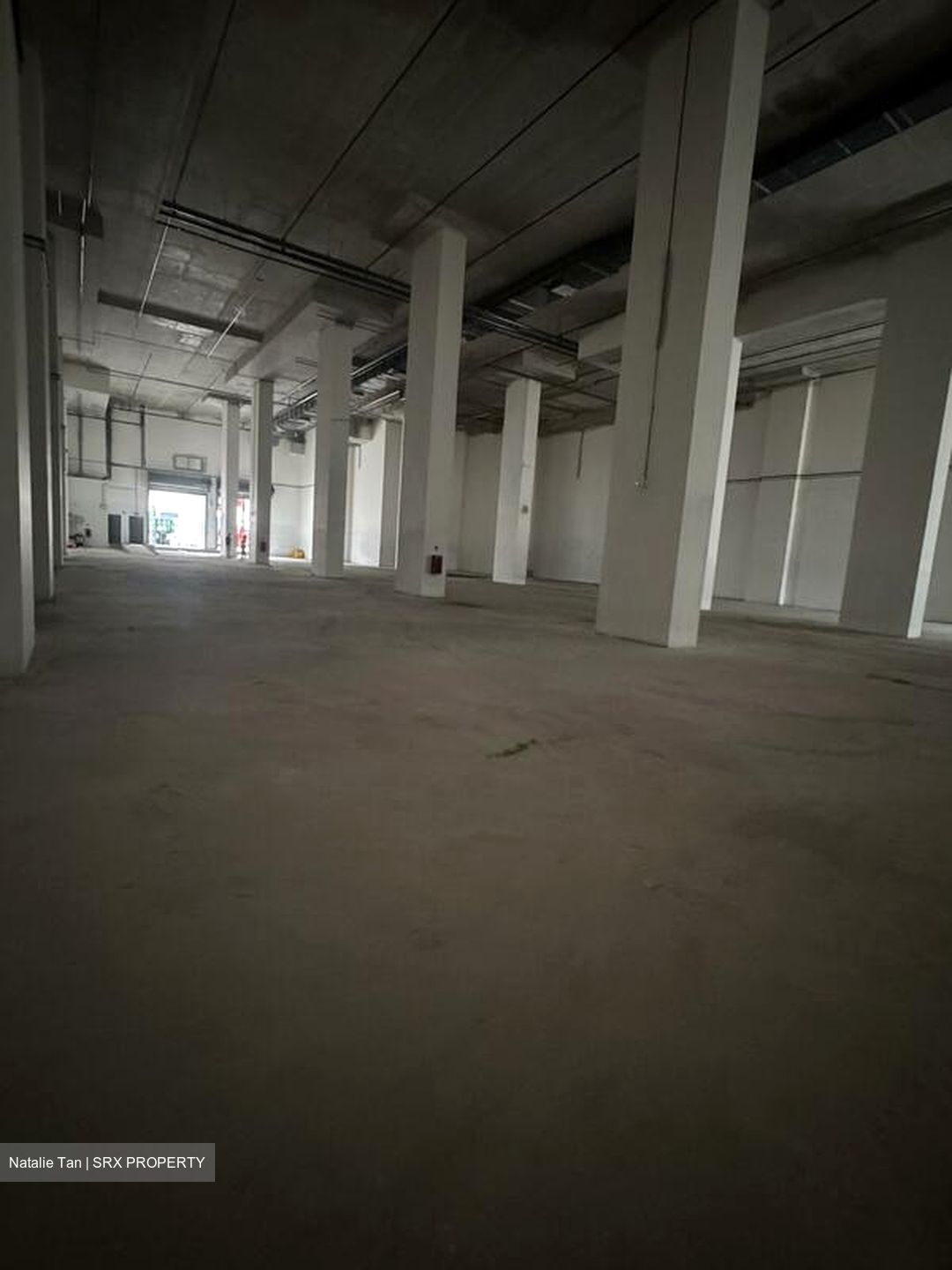 FOOD ASCENT (D22), Factory #522525161